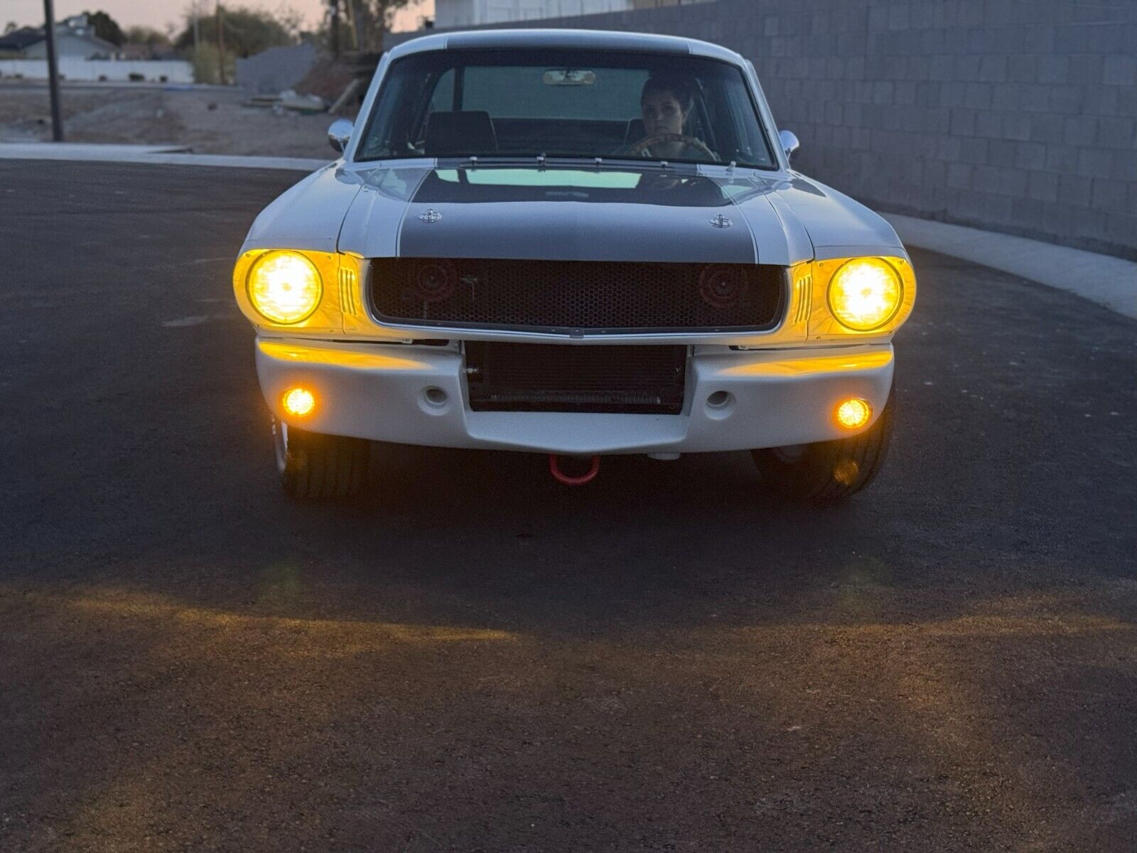 Ford-Mustang-Coupe-1965-White-161-17