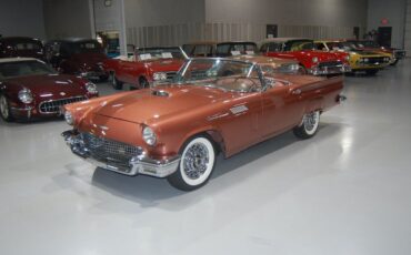 Ford-Thunderbird-E-Code-Convertible-Cabriolet-1957-Thunderbird-Bronze-Bronze-18570-12