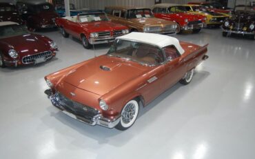 Ford-Thunderbird-E-Code-Convertible-Cabriolet-1957-Thunderbird-Bronze-Bronze-18570-36