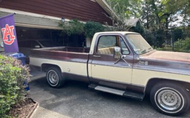 Gmc-Sierra-1500-1978-brown-43895-1