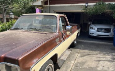 Gmc-Sierra-1500-1978-brown-43895-3