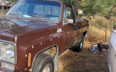 Gmc-Sierra-1500-1979-brown-1432313-1