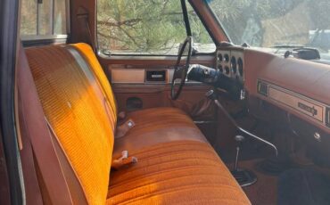 Gmc-Sierra-1500-1979-brown-1432313-2