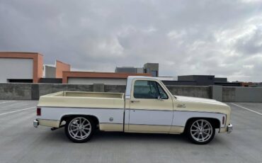 Gmc-Sierra-classic-1978-144841-6