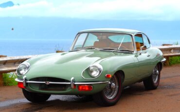 Jaguar-X-type-1970-green-204386-1