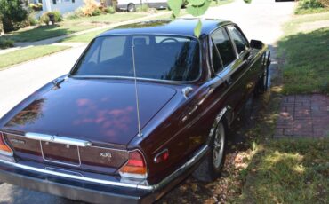 Jaguar-Xj6-1987-brown-141139-3