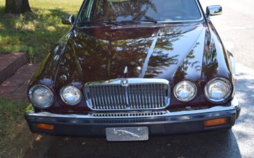 Jaguar-Xj6-1987-brown-141139