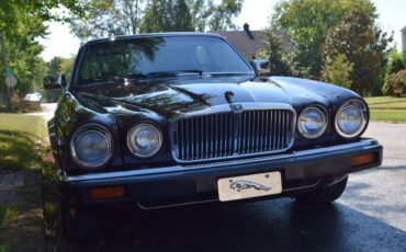 Jaguar-Xj6-1987-brown-141139-8