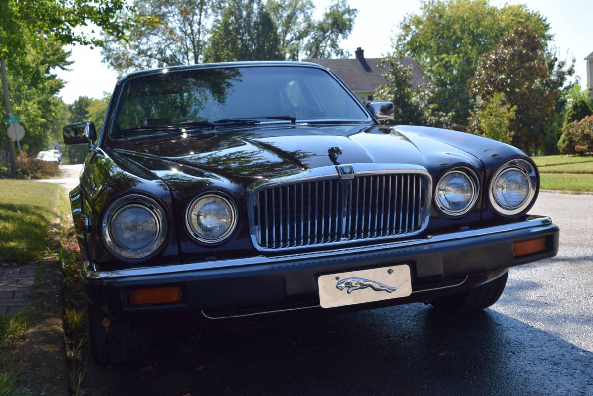 Jaguar-Xj6-1987-brown-141139-8