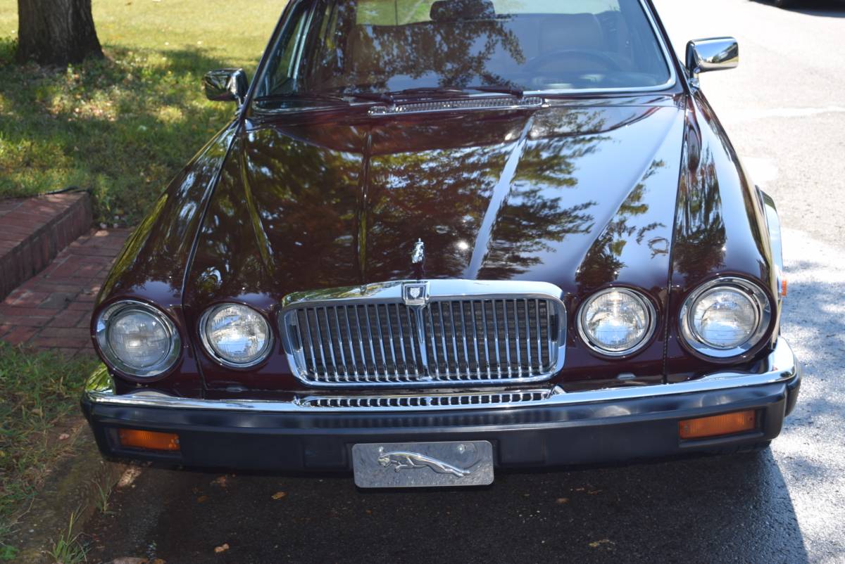 Jaguar-Xj6-1987-brown-141139