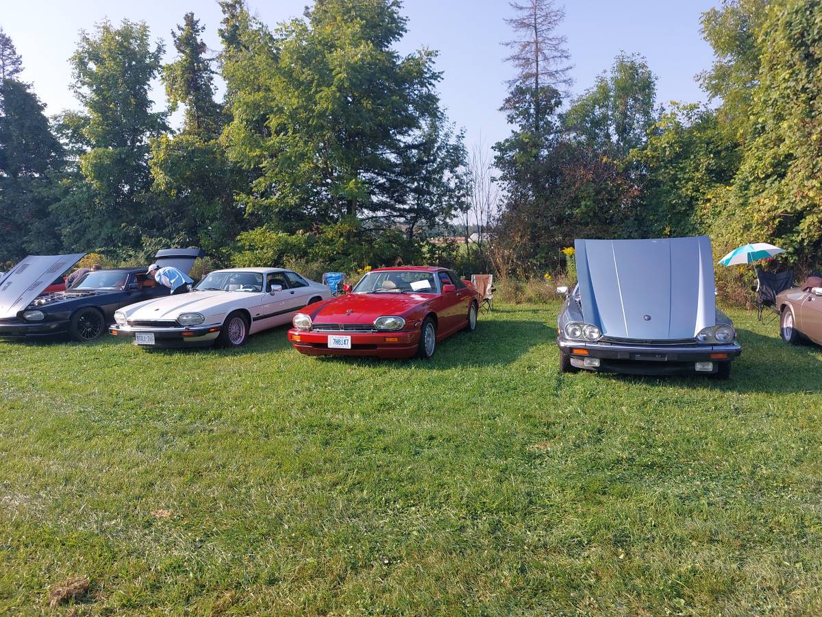 Jaguar-Xjs-1987-red-204386-1