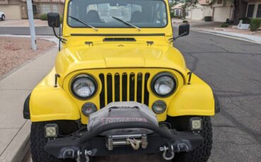 Jeep-1980-yellow-167371-2