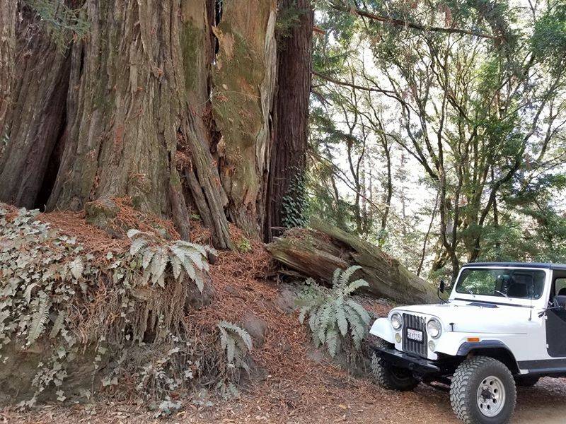 Jeep-1983-white-120701-4