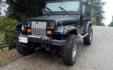 Jeep-1993-450615