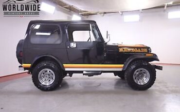 Jeep-CJ-1981-Other-Other-74614-3