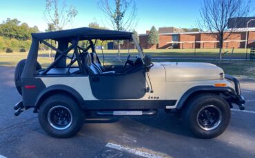 Jeep-CJ-Cabriolet-1979-Black-0-5