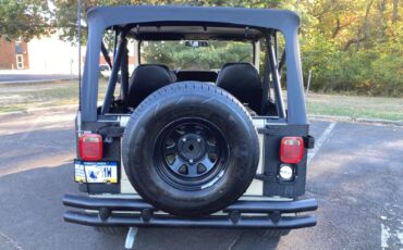 Jeep-CJ-Cabriolet-1979-Black-0-7