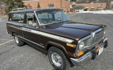 Jeep-Cherokee-1979-brown-102193-11