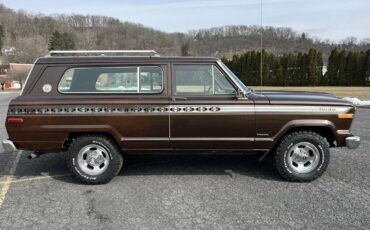 Jeep-Cherokee-1979-brown-102193-19