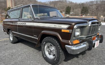 Jeep-Cherokee-1979-brown-102193