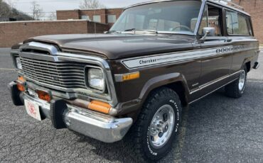 Jeep-Cherokee-1979-brown-102193-8