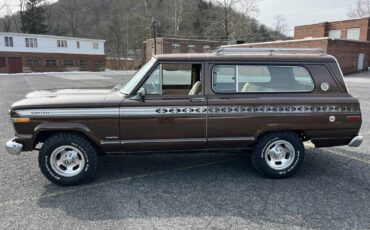 Jeep-Cherokee-1979-brown-102193-9