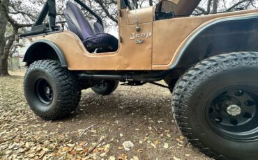 Jeep-Cj5-1973-brown-168981-1