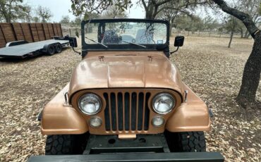 Jeep-Cj5-1973-brown-168981