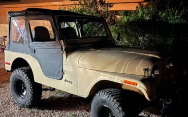 Jeep-Cj5-1980-158254-8