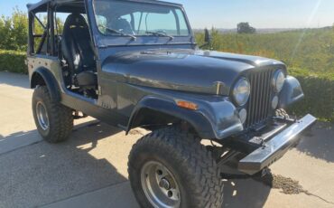 Jeep-Cj7-1978-grey-145471-3