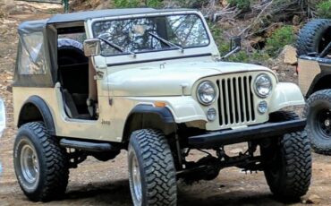 Jeep-Cj7-1986-brown-130357