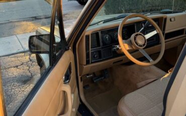 Jeep-Comanche-1986-70811-7