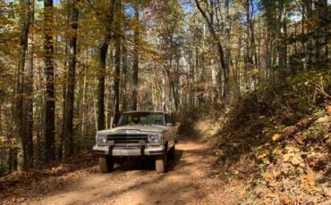 Jeep-Grand-wagoneer-1986-307384-2