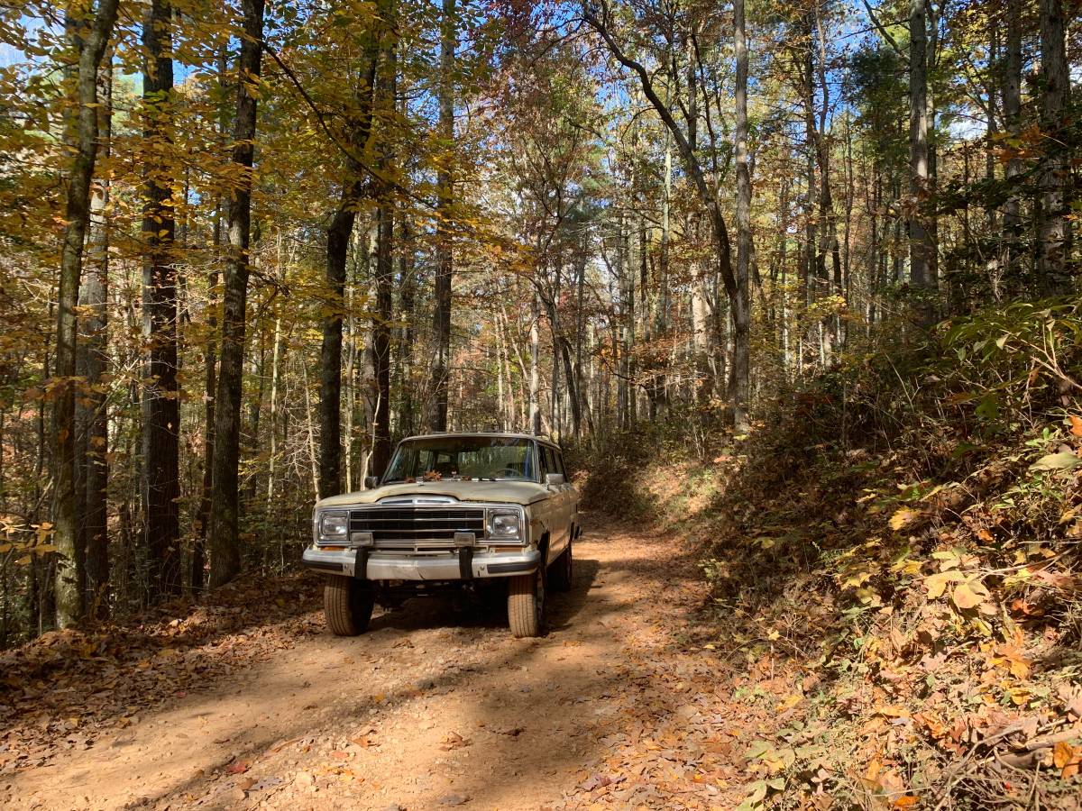 Jeep-Grand-wagoneer-1986-307384-2