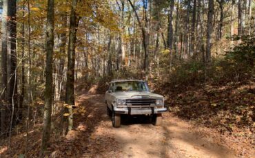 Jeep-Grand-wagoneer-1986-307384-4