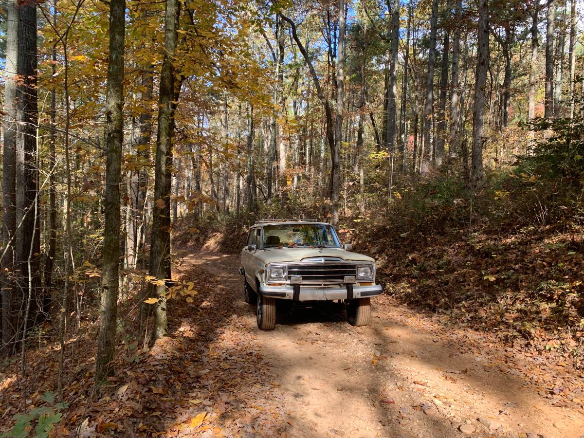 Jeep-Grand-wagoneer-1986-307384-4