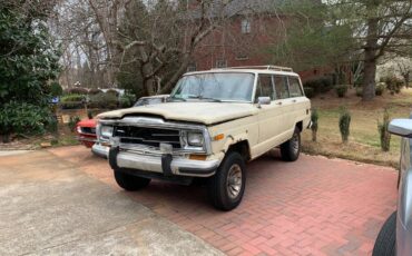 Jeep-Grand-wagoneer-1986-307384-7