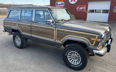 Jeep-Grand-wagoneer-1989-grey-107520-11