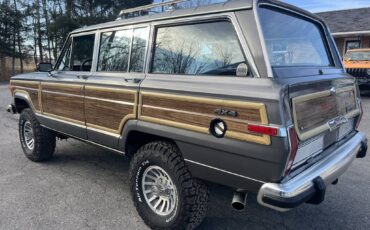 Jeep-Grand-wagoneer-1989-grey-107520-21