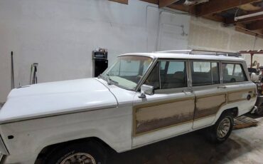 Jeep-Grand-wagoneer-1989-white-256860-2