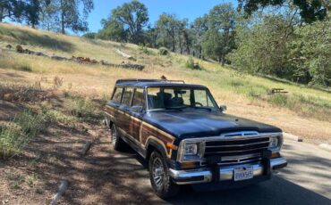 Jeep-Grand-wagoneer-1990-blue-170590-4