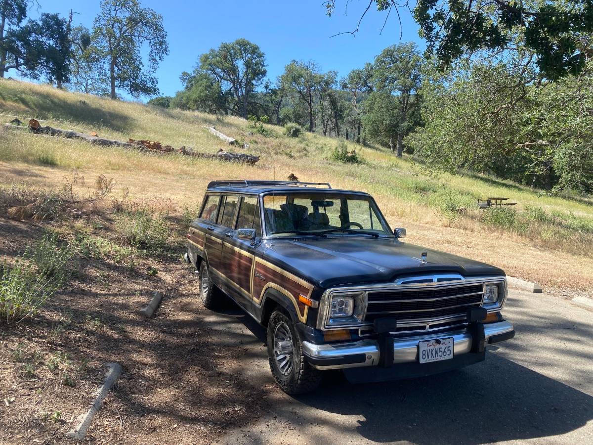 Jeep-Grand-wagoneer-1990-blue-170590-4