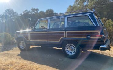 Jeep-Grand-wagoneer-1990-blue-170590-6