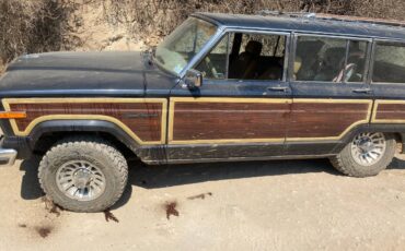 Jeep-Grand-wagoneer-1990-blue-170590-7