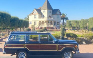 Jeep-Grand-wagoneer-1990-blue-170590-8