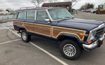 Jeep-Grand-wagoneer-1991-blue-156106-9