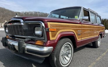 Jeep-Wagoneer-1981-69789-11