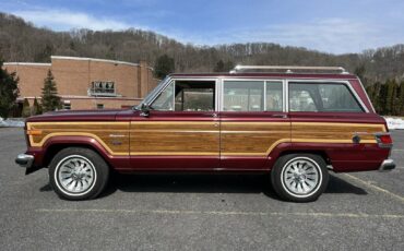 Jeep-Wagoneer-1981-69789-17