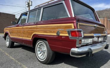 Jeep-Wagoneer-1981-69789-20