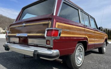 Jeep-Wagoneer-1981-69789-22